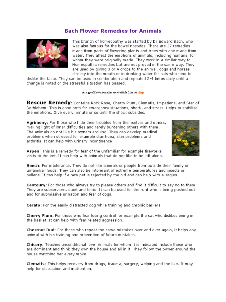 Bach Flower Remedies For Animals PDF Bach Flower Remedies Wellness