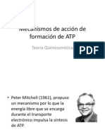 Mecanismos de Acción de Formación de ATP