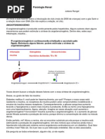 Aula 13 Fisiologia Renal