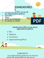 ORGANIZADORES GRAFICOS