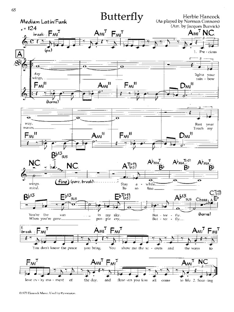 Herbie Hancock Butterfly