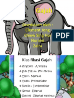 Gajah