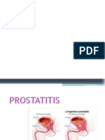 Prostatitis y Pielonefritis