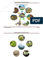 Ecologia Microbiana y Caracteristicas