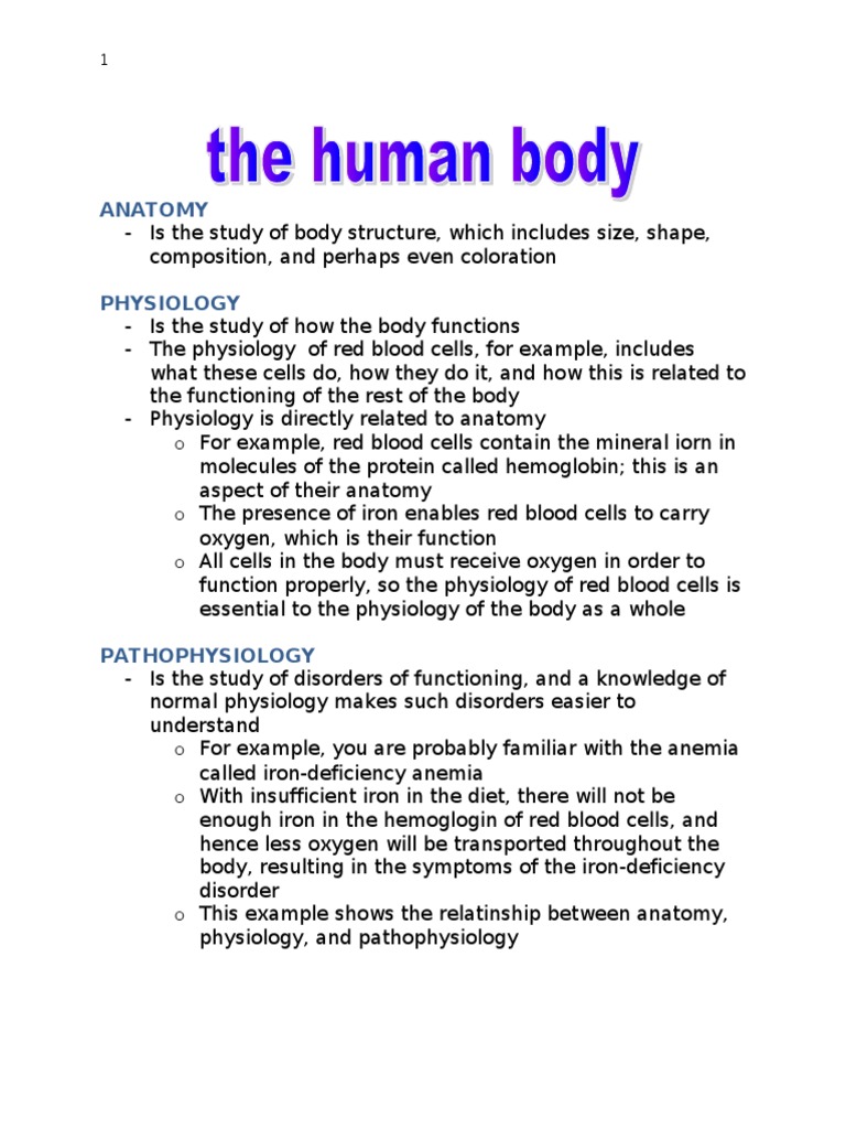 The relationship between anatomy physiology and pathophysiology pdf