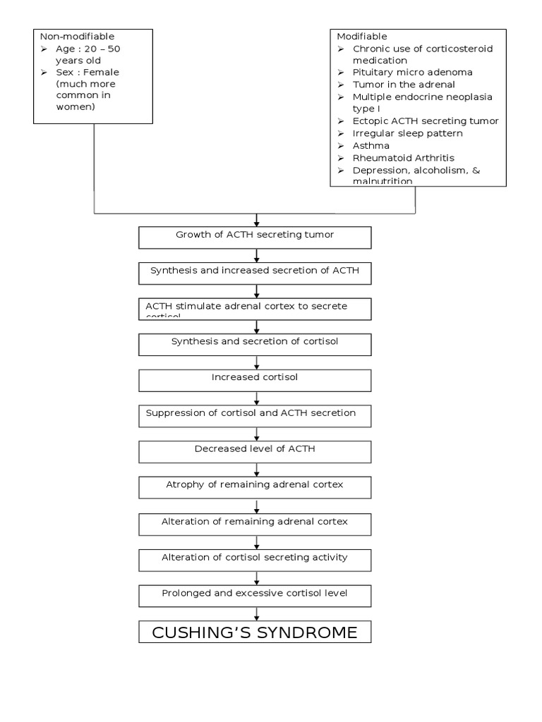 Cushing's Disease Pathophysiology