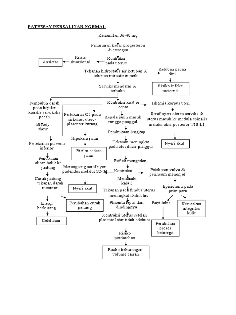 ebook Group IV Elements,