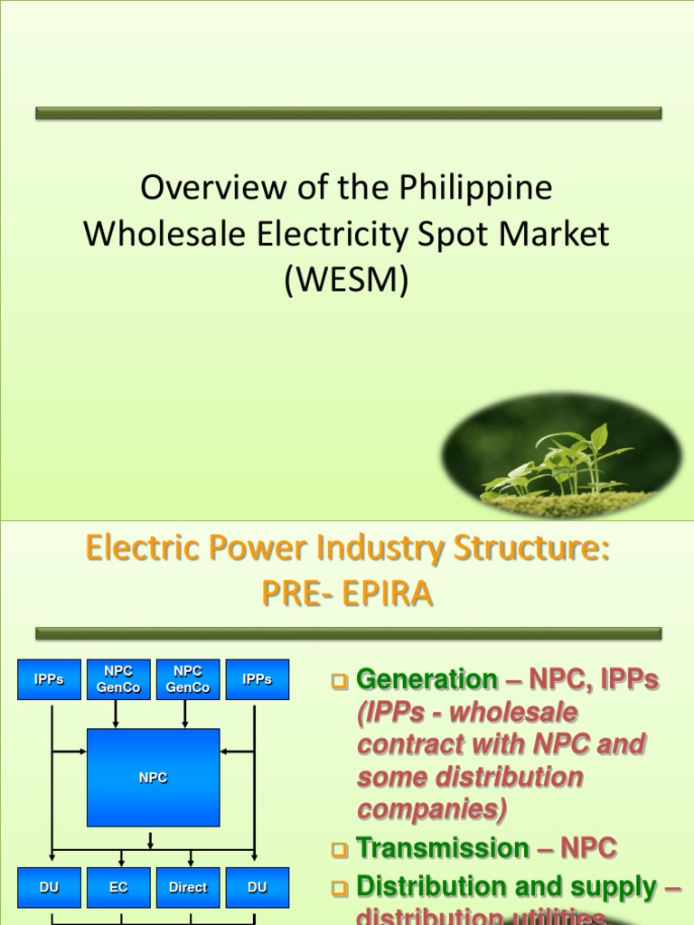 Overview of the Philippine Wholesale Electricity Spot Market Retail
