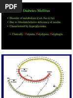 Lecture 17 Diabetes