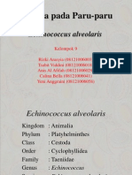 Echinococcus Alveolaris