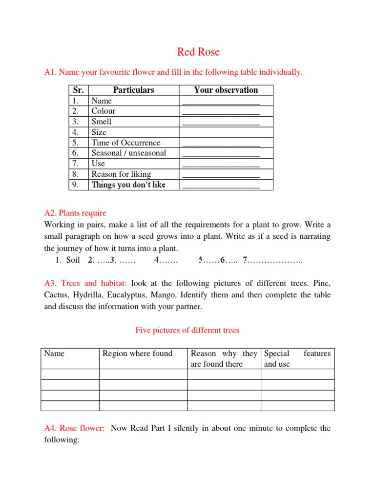 1.2 Red Rose Verb Sentence (Linguistics)