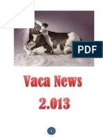 Vaca News 2.013 (Humor)