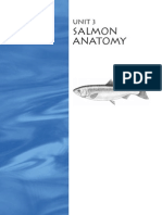 Salmon Anatomy: Unit 3