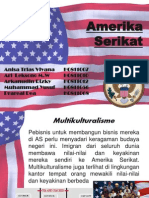 Amerika Serikat