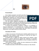 Leitura Dinâmica.doc