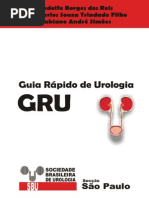 Download Manual GRU Completo by Alister Cara SN168692696 doc pdf