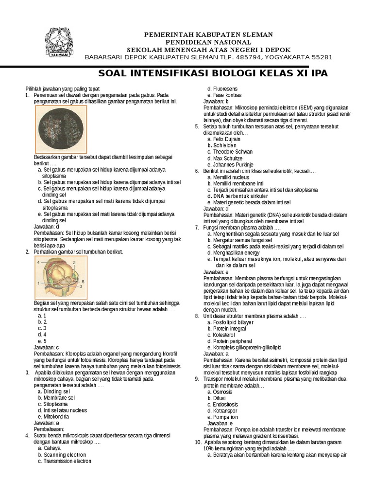Soal Biologi Kls 7 Tentang Sel
