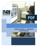 Induccion Manual 2013