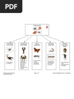 Animal Classification Chart - Invertebrates
