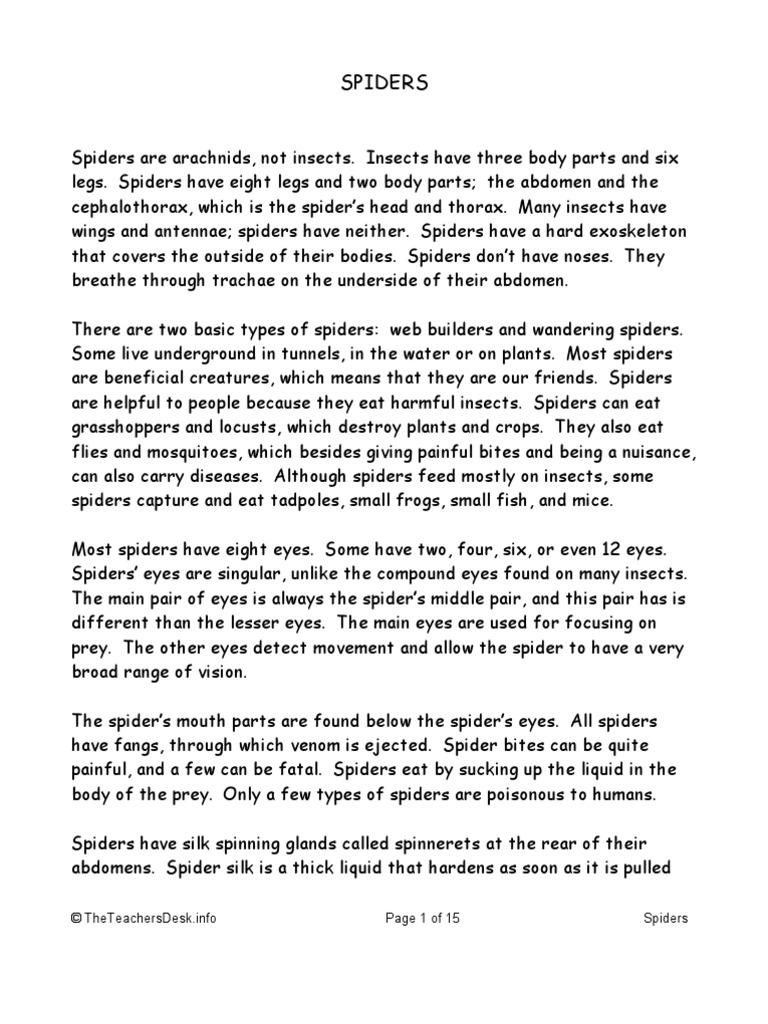 essay about fear of spiders