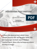 Perawatan Post Partum