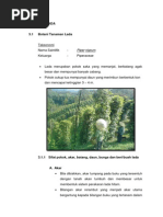 Download 30 Tanaman Lada by Hidayat Aziz SN168755845 doc pdf