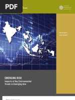 Download Emerging Risk Impacts of Key Environmental Trends in Emerging Asia April 2009 by IFC Sustainability SN16876710 doc pdf