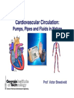 Cardiovascular Fluid Flow
