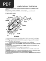 Download Bacteria by Vishal Jalan SN168805515 doc pdf