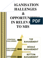 Organisation Challenges & Opportunities in Relevance To Mis