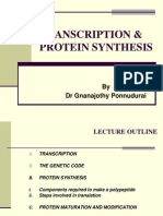 Transcription Protein Synthesis