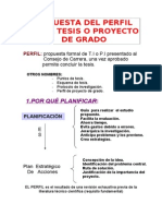 8intro Invest Perfil de Tesis de Inv y Proyecto de Ing2012