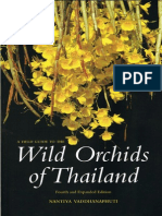 Wild Orchids of Thailand 