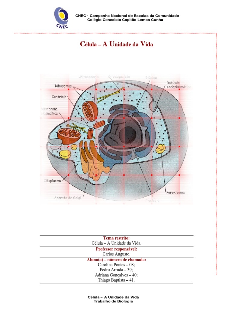 01 - Texto Sobre Célula | PDF