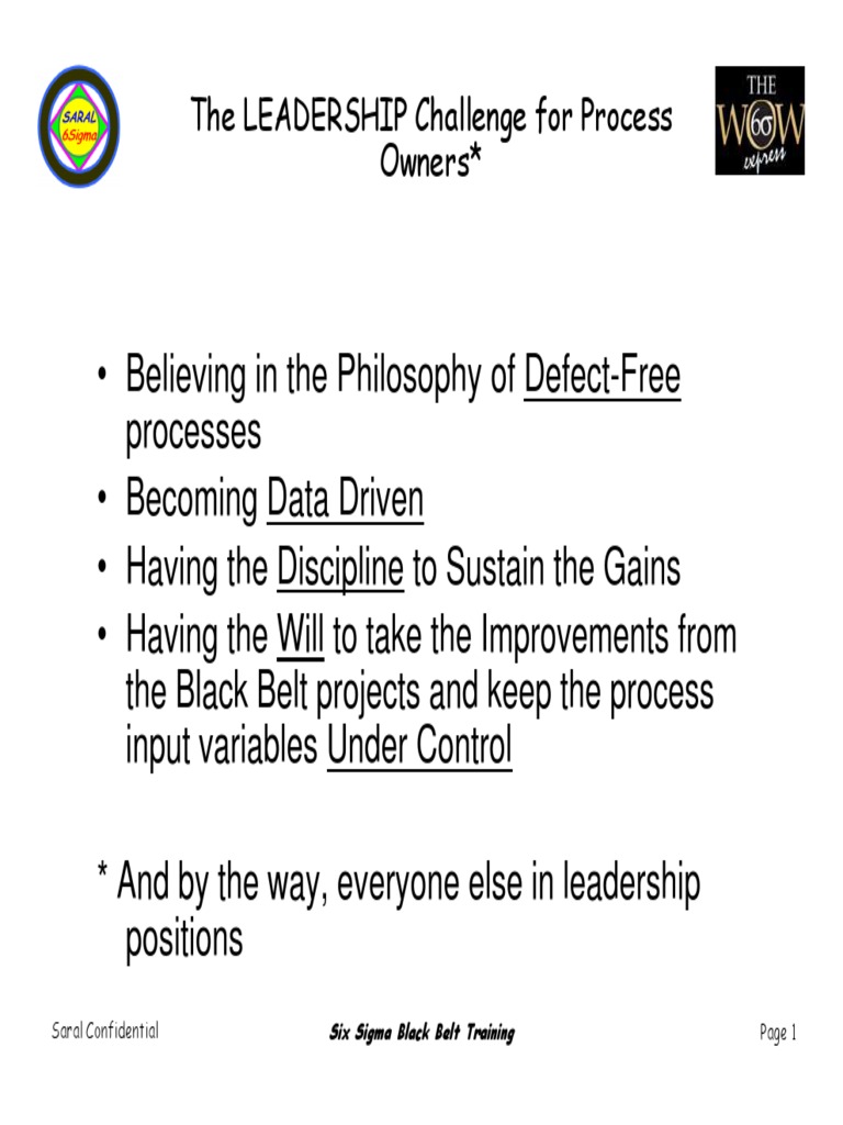 Leadership Roles in Lean Six Sigma | PDF | Business Process Improvement ...