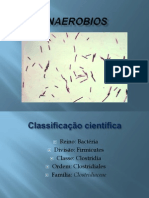 Clostridium Anaerobios