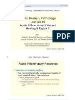 Basic Human Pathology - Lecture 6
