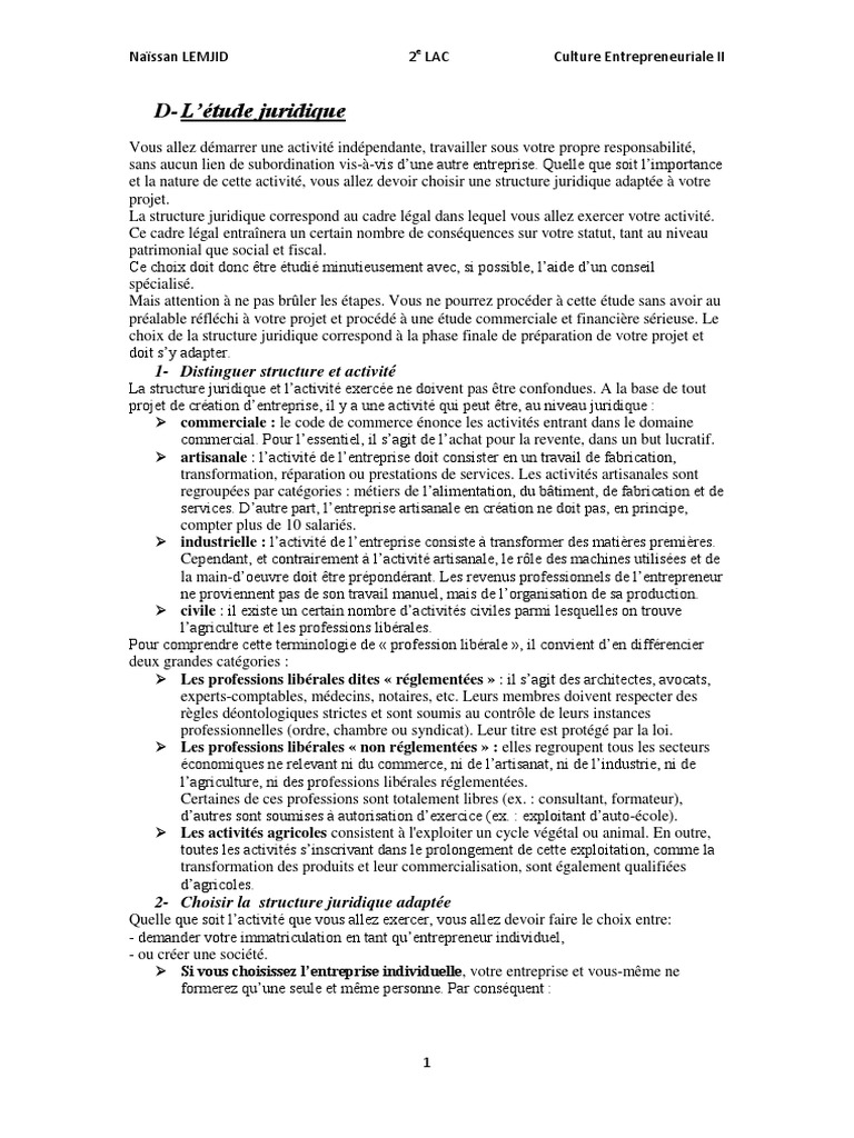 Choix de la Structure Juridique | PDF | Business | Économie