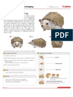 Learn About the Four-Toed Hedgehog with this Paper Craft Model