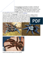Aranhas Venenosas Do Brasil