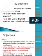 4 Cladograms