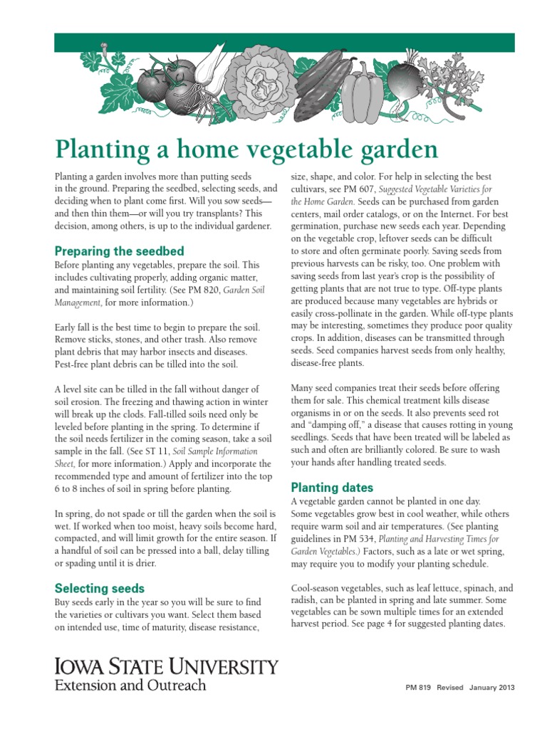 How To Plant A Vegitable Garden | PDF | Home & Garden | Science ...