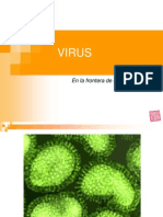 Virus