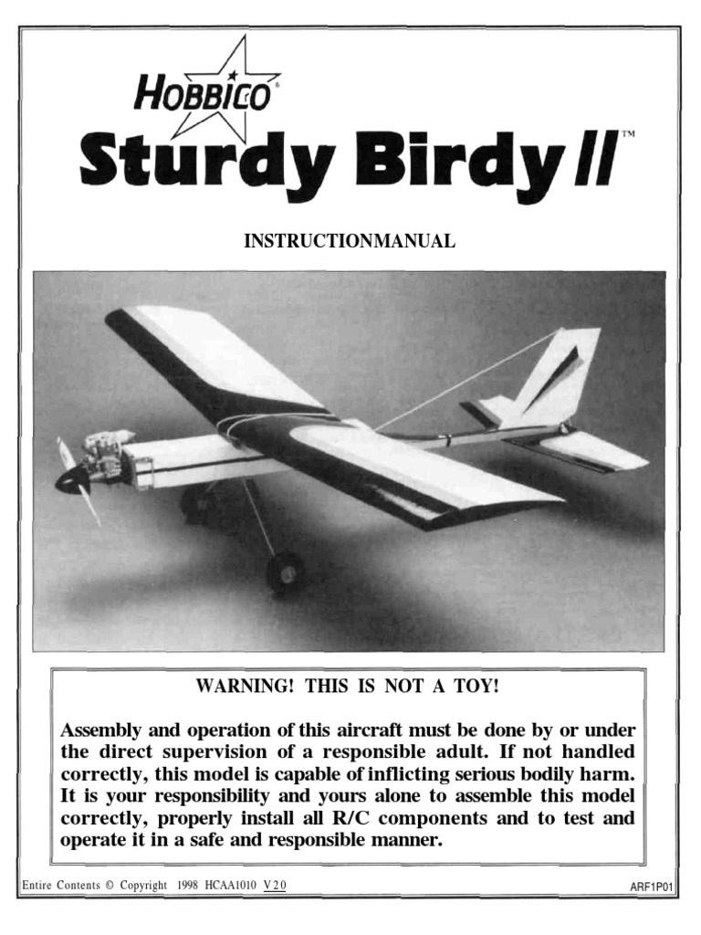 sturdy birdy rc plane