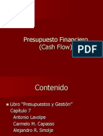 Presupuesto Financiero 