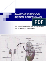 Anatomi Fisiologi Sistem Perkemihan