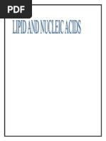 Lipids and Nucleic Acids