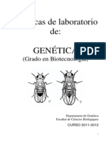 Lab Oratorio Genetic A