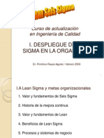 Lean Sigma Org