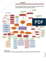 Mapa Conceptual Del Presupuesto PDF